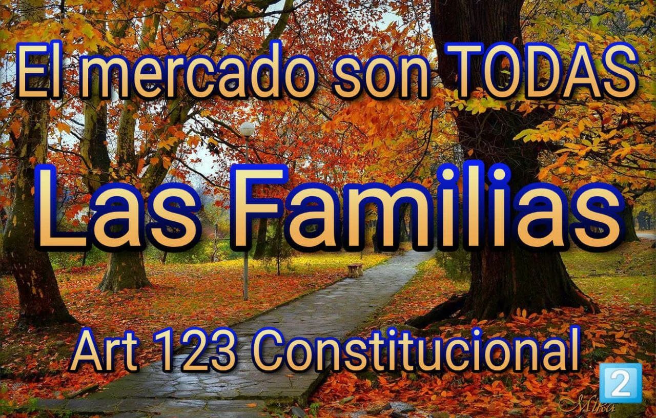 Artículo 123 Satisfacer Necesidades Normales