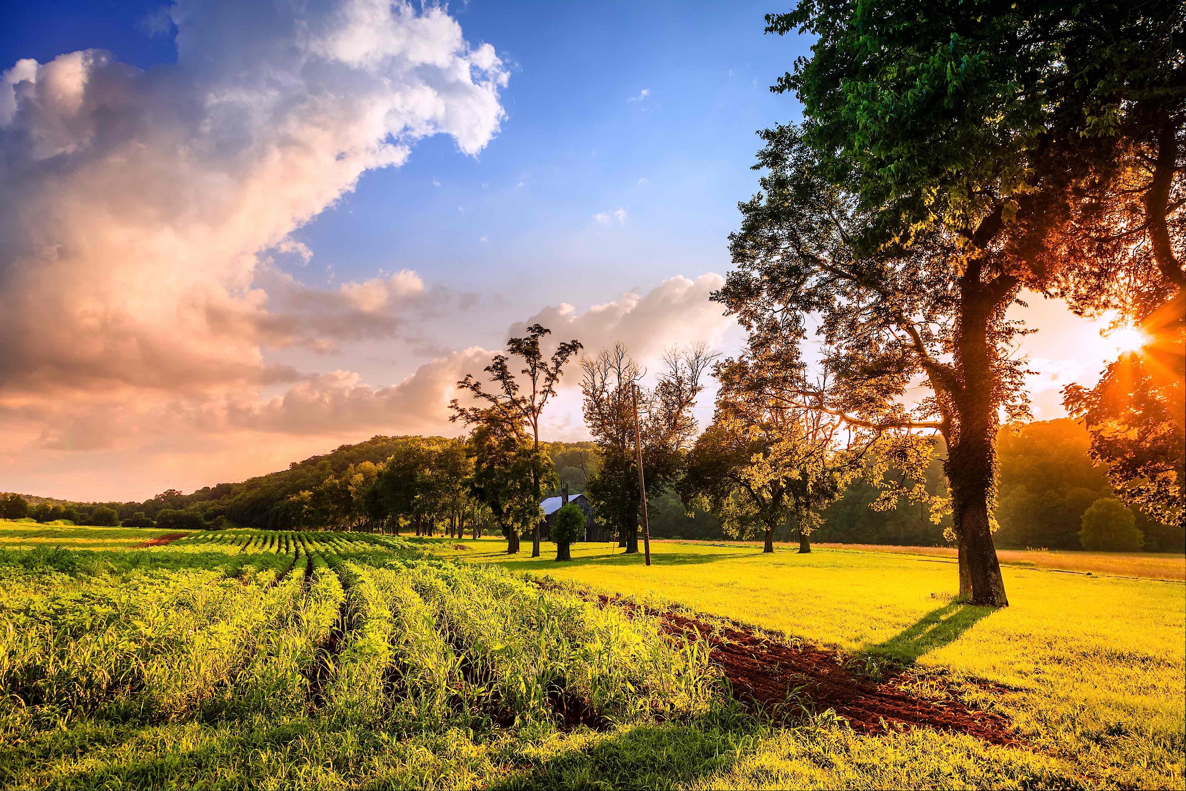 Campos y Soberanía; Vivimos de la Tierra; Empleos que Descansan; Cuidan tu Salud; Te conectan con la naturaleza