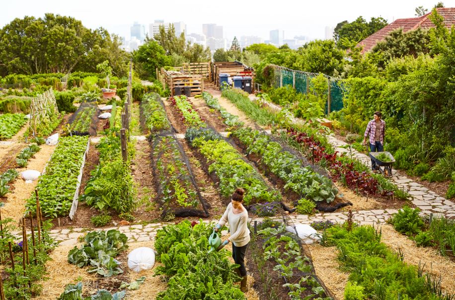 Jardines para la Salud y el Trabajo Cerca de Casa