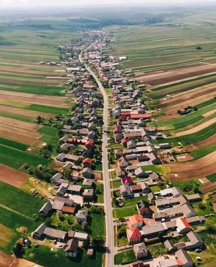 Siempre debemos tener territorio cerca de casa para cuidarlo. Abandonar tierras es tirar la riqueza.