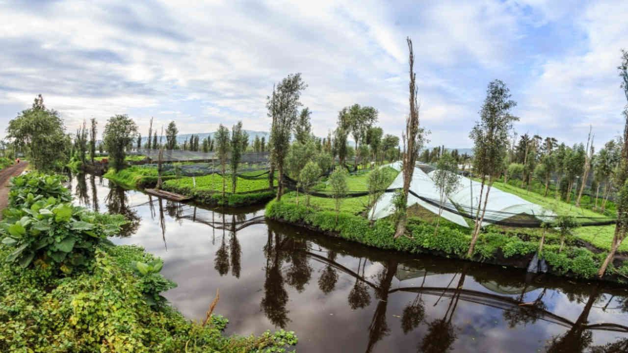 Cuerpos de agua para jardines flotantes y prevención de la evaporación