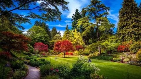 Jardinería siempre para generar empleos muy bien pagados con la jardinería nacional