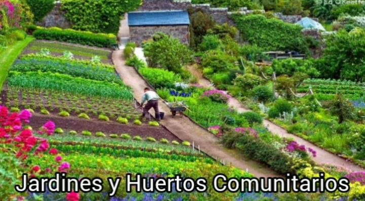 Si no quieres producir en casa, tengan varias familias esos espacios en una o 2 manzanas generando empleos, turismo y calidad de vida.