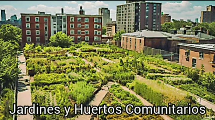 Si te gusta vivir en departamento en edificio, el huerto estará cerca por razón de calidad de alimentación.  De nuevo: empleos y trabajo de arquitectura, agronomía, en todas partes. Diseño real de vida.  Mejor empleo y calidad de vida.
