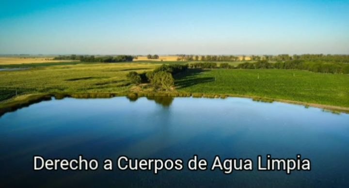 La producción de flores, jardines flotantes y especies comestibles es parte de la riqueza de la diversidad.