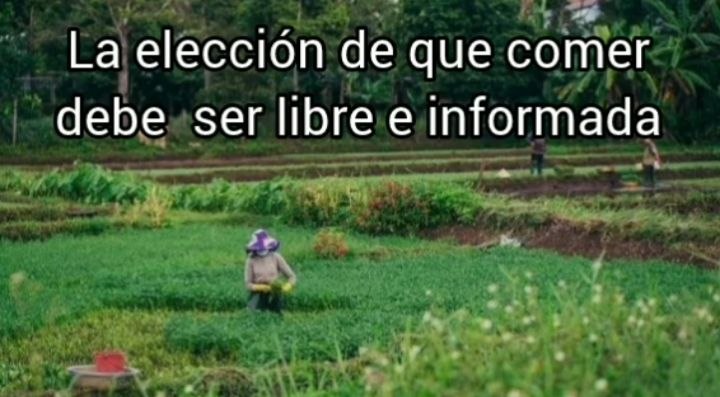 Qué sembrar y qué comer, se vuelve participativo y se produce y consume porque nos gusta y nos da trabajo y salud.