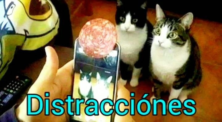 Hoy nos traen embobados, con lo que sea, porque no estamos conscientes de todo lo anterior y si acaso estamos no sabemos con quién contamos para cosechar esos tesoros.