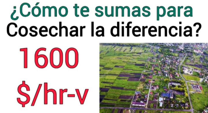 Es actitud pura. Todo trabajo suma si está coordinado y liderado.