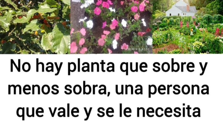 El trabajo de reconocer los talentos es otro recurso que no estamos aprovechando.  El visionario no es el que aparenta tener visión sino quien en el resultado convierte el trabajo en producción, que se vende sola porque la venta resulta del salario no alto sino bien pagado. 