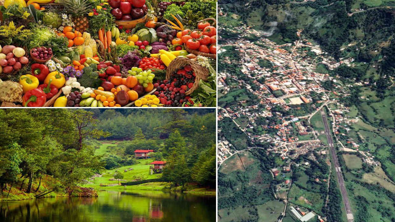 La Riqueza Mexicana está al alcance de sólo querer producirla la propia población bien organizada por sí misma
